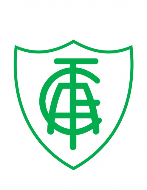 Imagem representativa do item