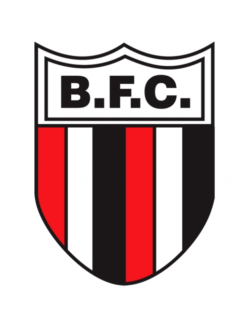 Imagem representativa do item