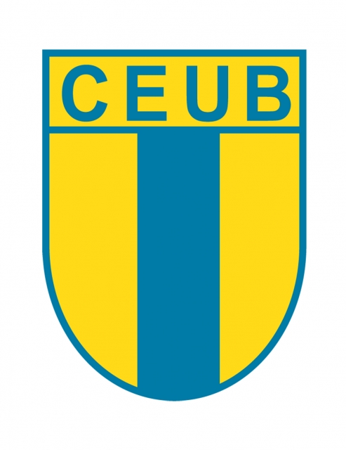 Imagem representativa do item