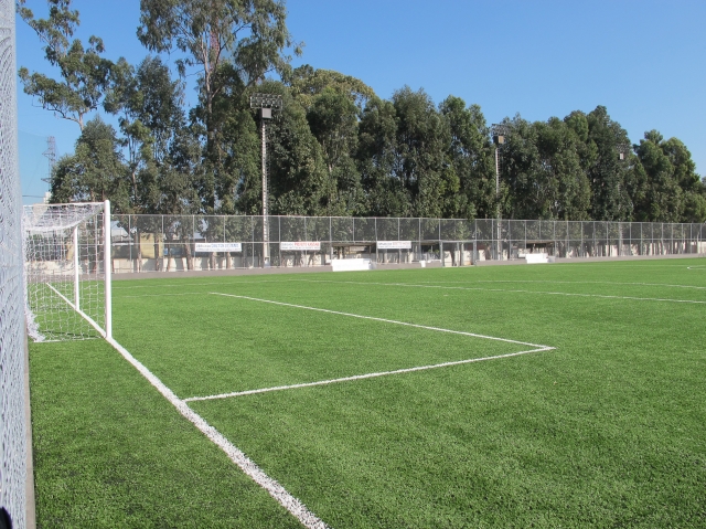 Imagem representativa do item