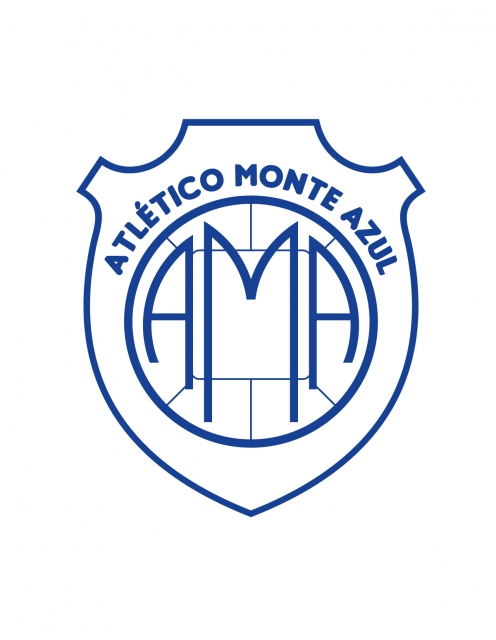 Imagem representativa do item