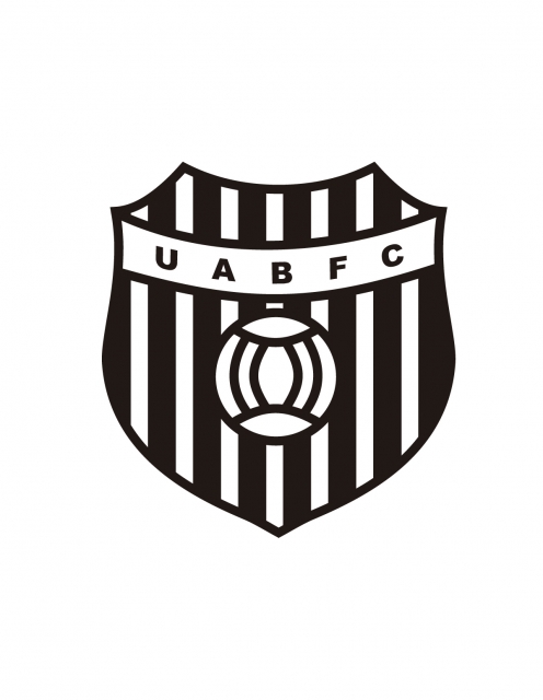 Imagem representativa do item