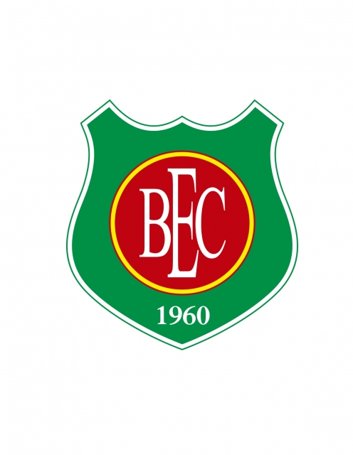 Imagem representativa do item