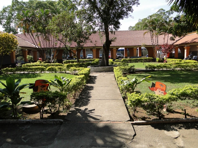 Imagem representativa do item