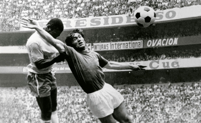 Imagem representativa do item