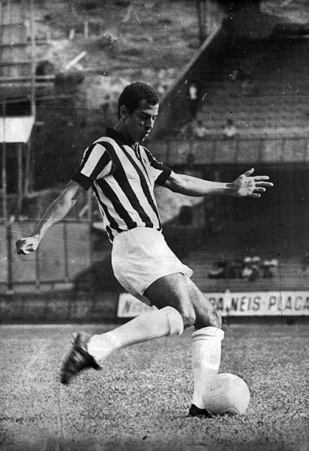 Imagem representativa do item