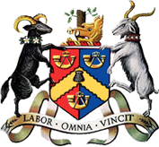 Imagem representativa do item