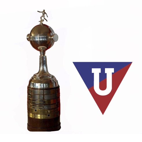 Imagem representativa do item