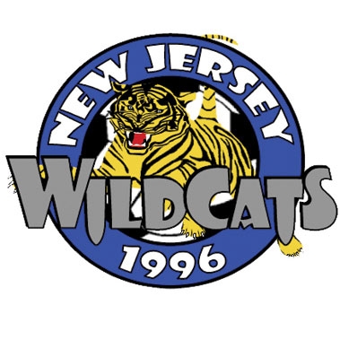 Imagem representativa do item