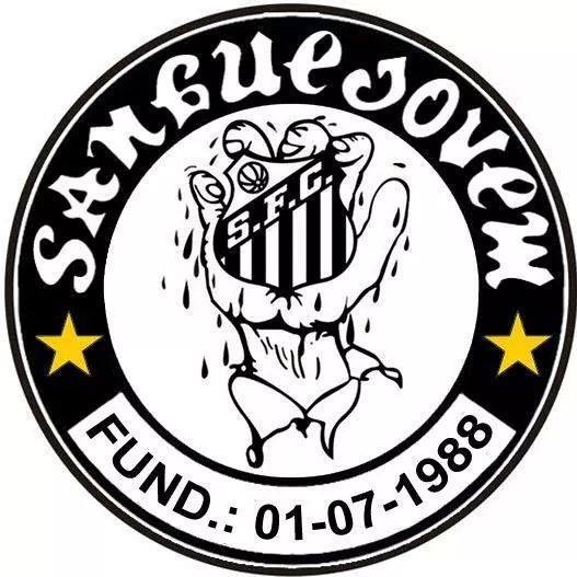 Imagem representativa do item