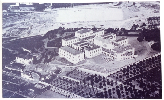 Imagem representativa do item