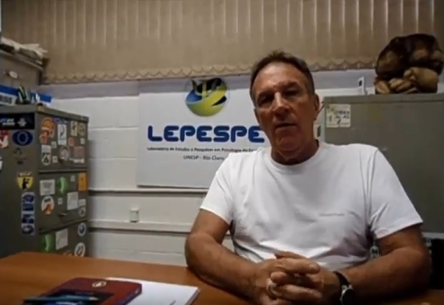 Imagem representativa do item