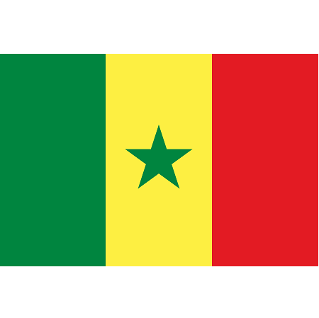 Imagem representativa do item