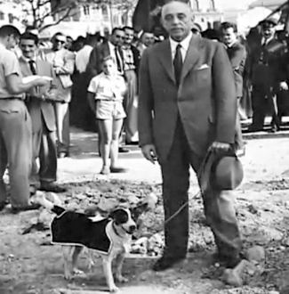 Imagem representativa do item