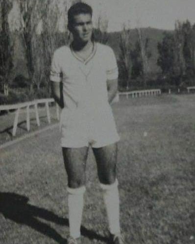 Imagem representativa do item