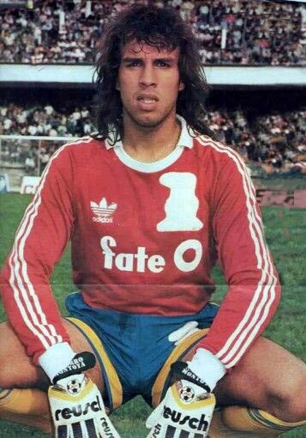 Imagem representativa do item