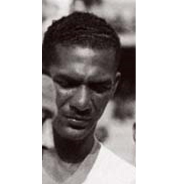 Imagem representativa do item